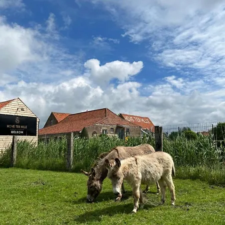 Guest house Hove Ter Hille