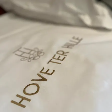 Hove Ter Hille *