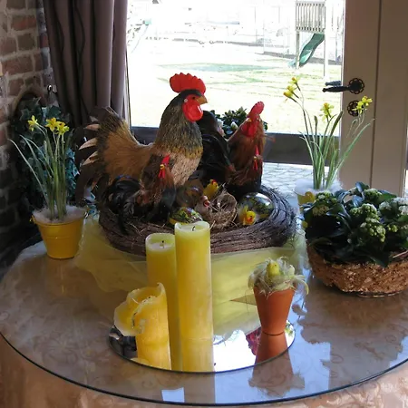Hove Ter Hille Guest house *